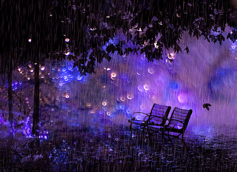Empty Benches in Rain