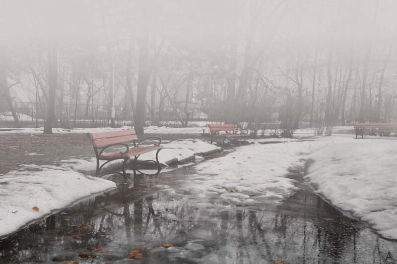Empty Benches in Snow