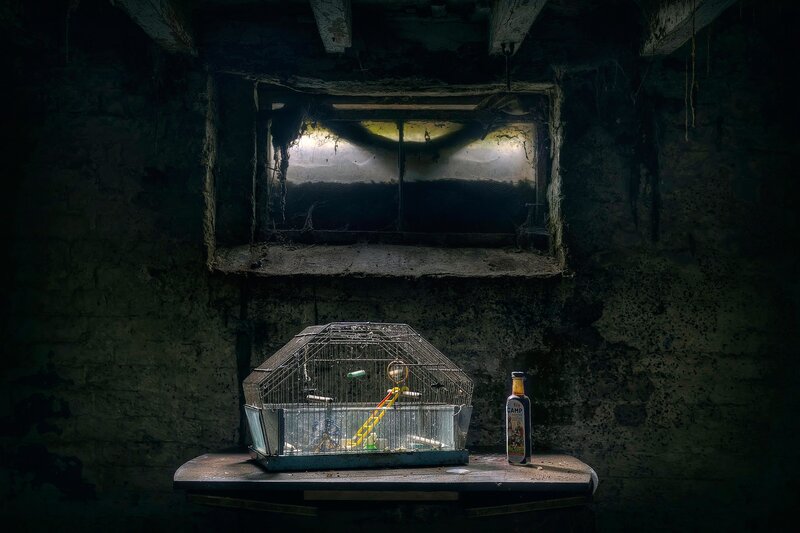 Empty Birdcage in Basement