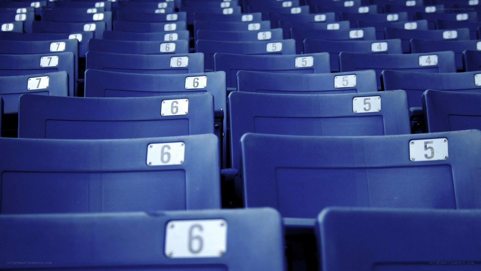 Empty blue stadium seats