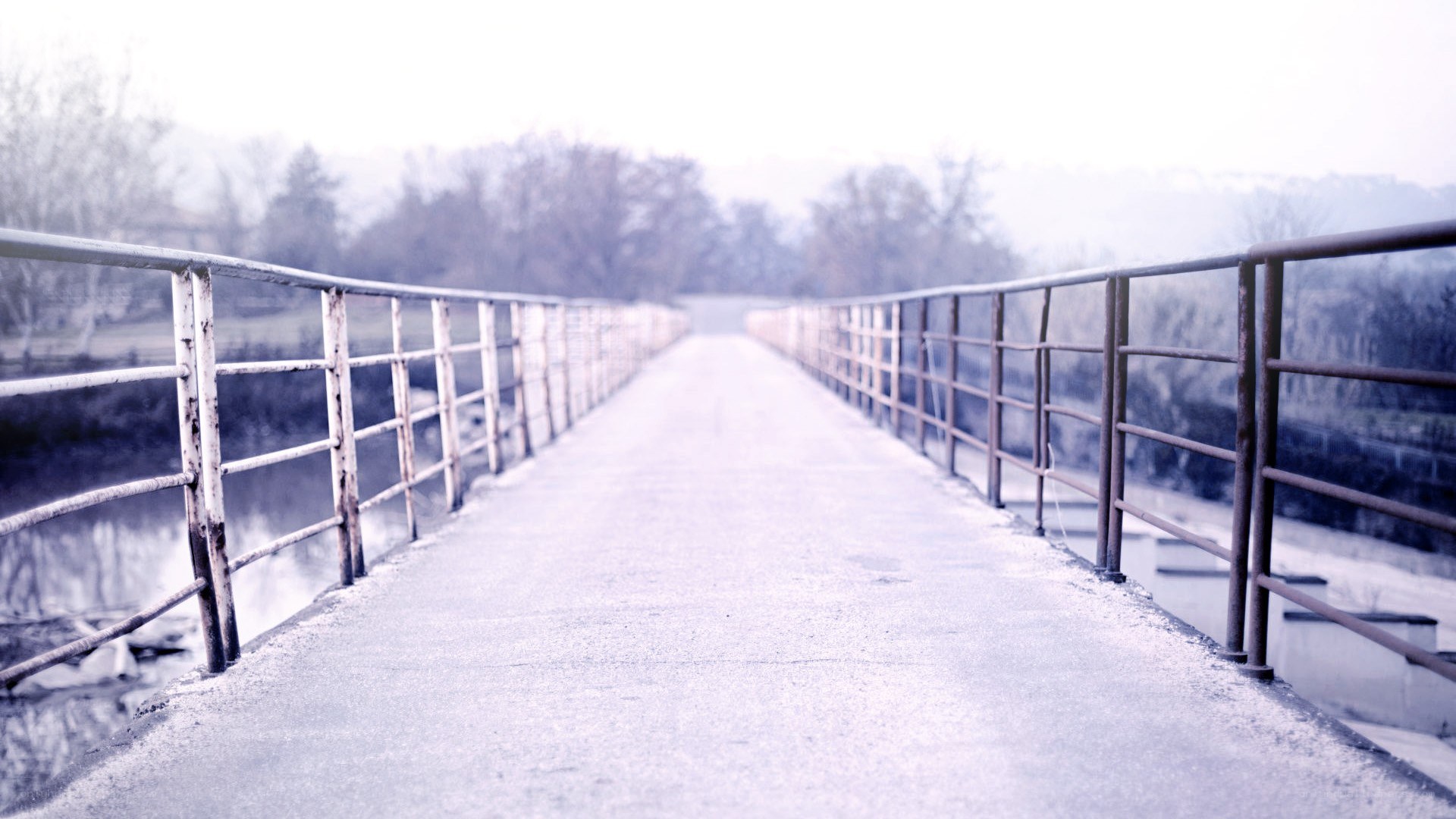 Empty bridge in misty landscape