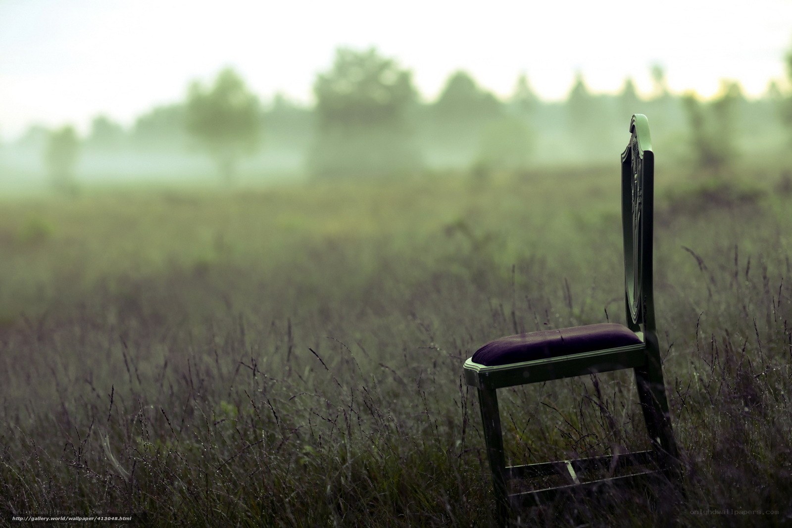 Empty chair in a misty field