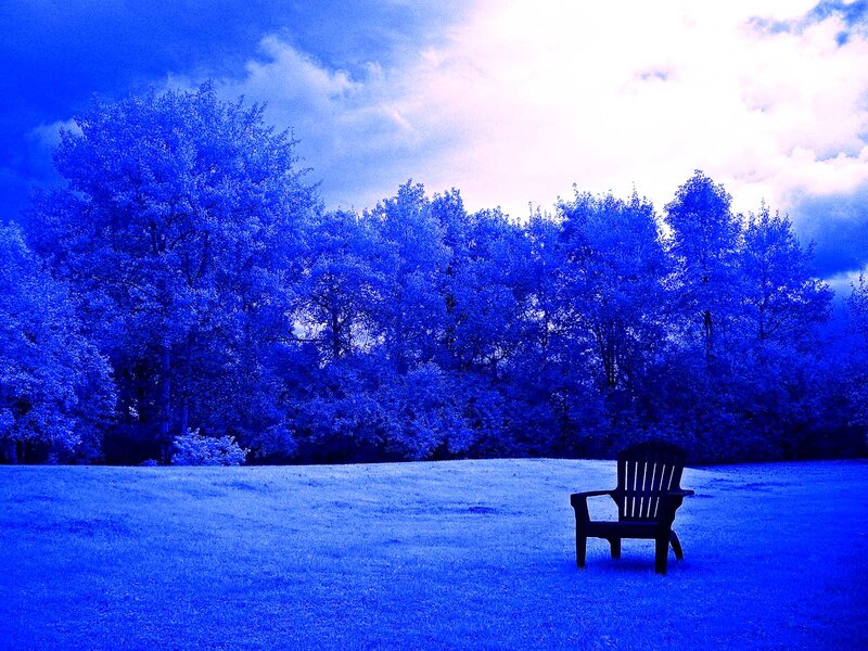 Empty Chair in Field