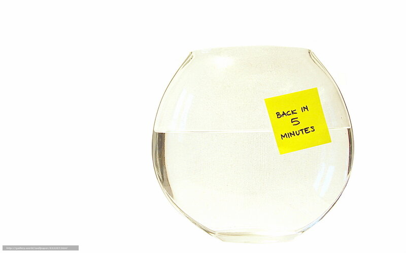 Empty fishbowl with note
