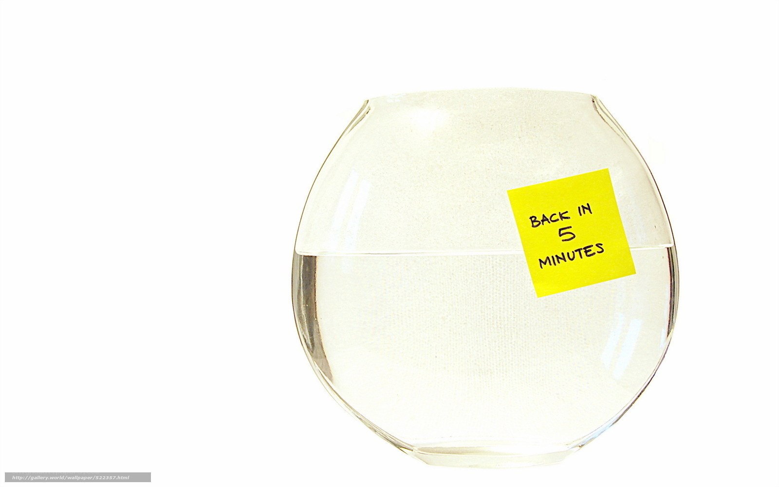Empty fishbowl with note