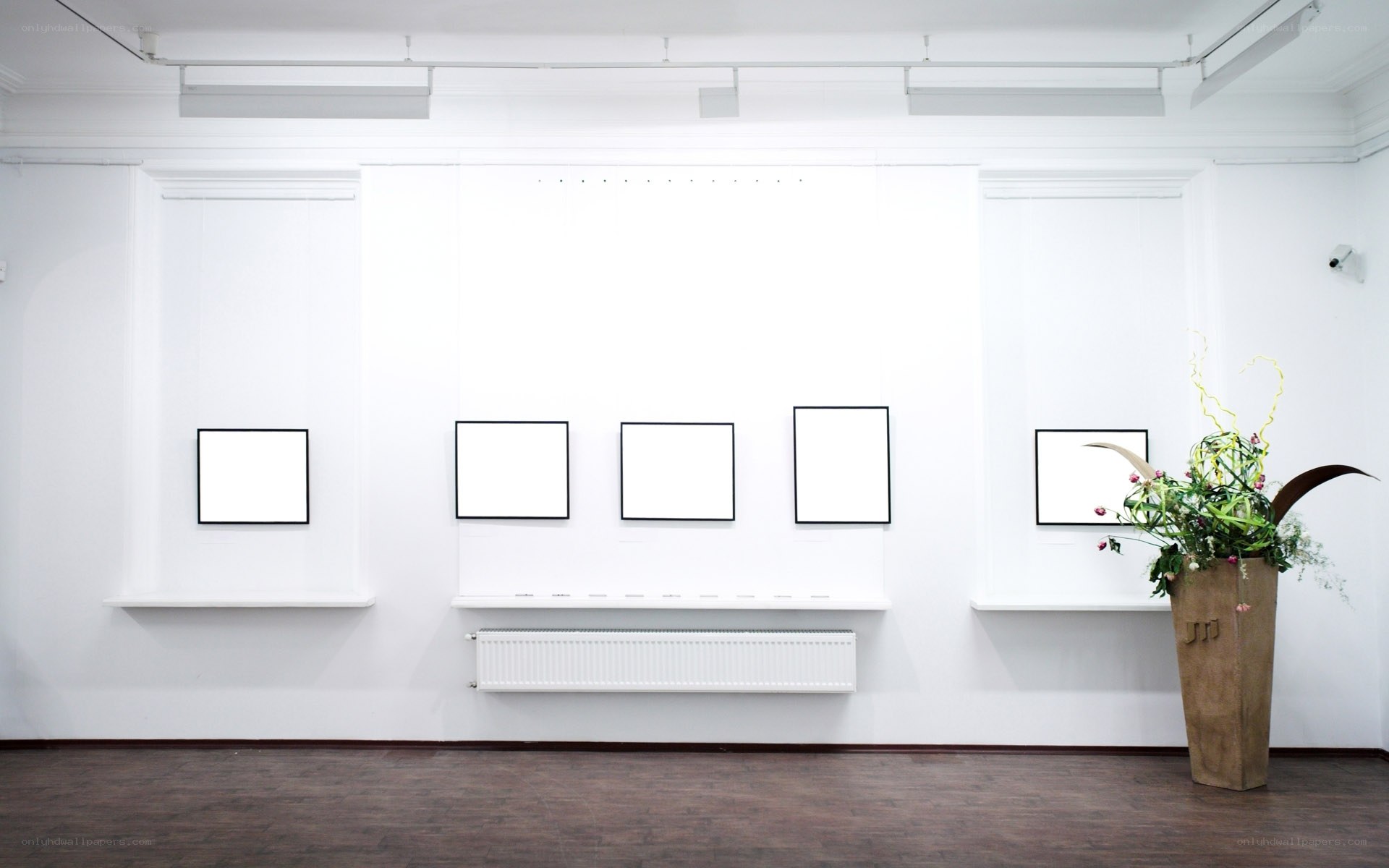 Empty gallery with blank frames