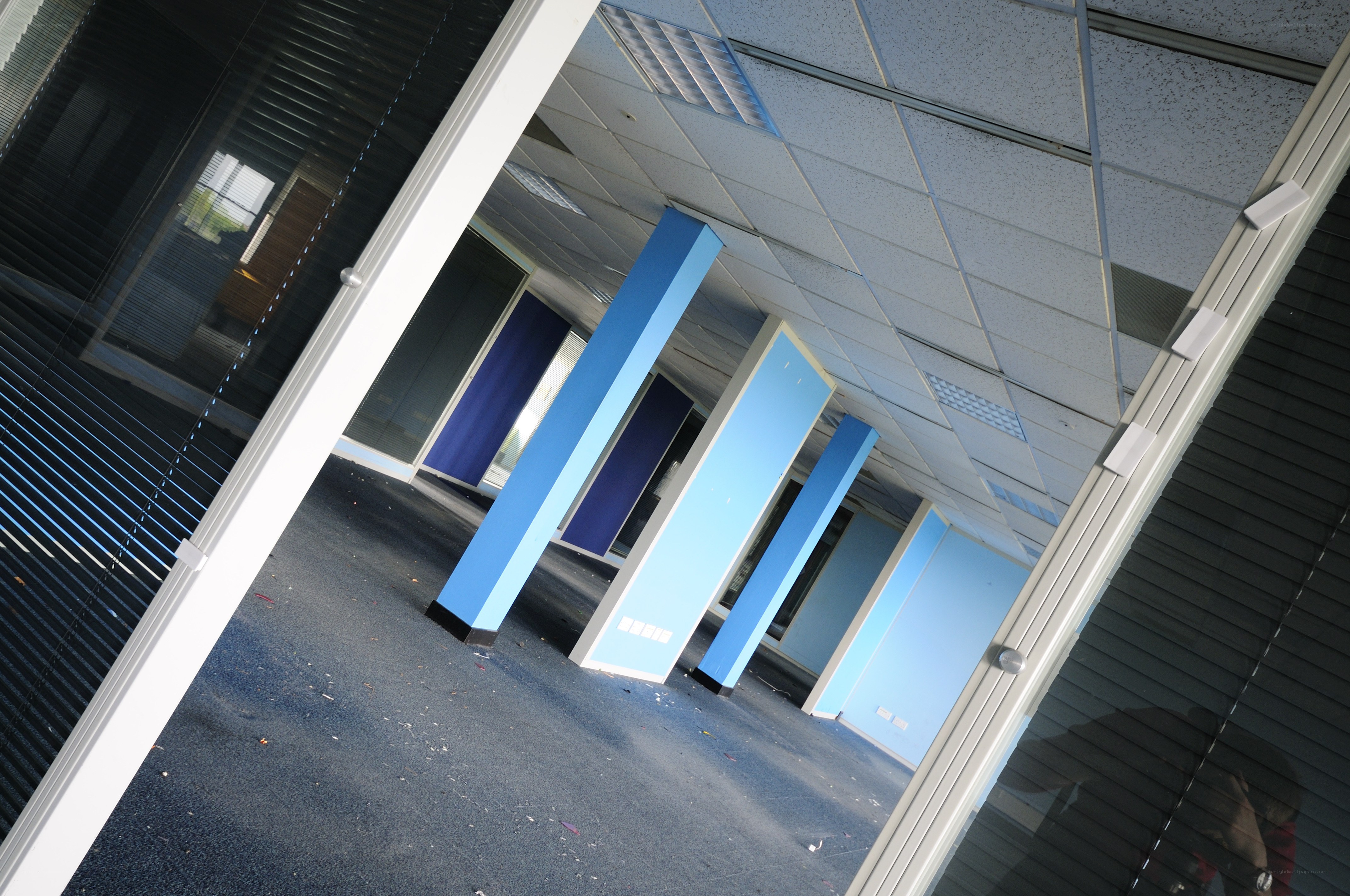 empty office space with blue pillars