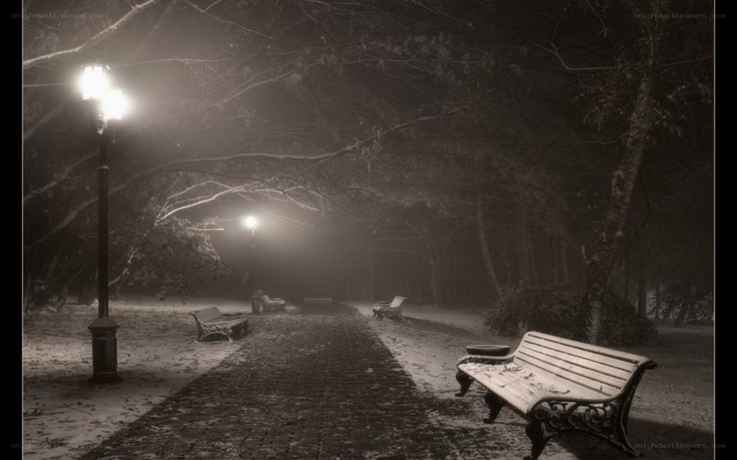 Empty park at night