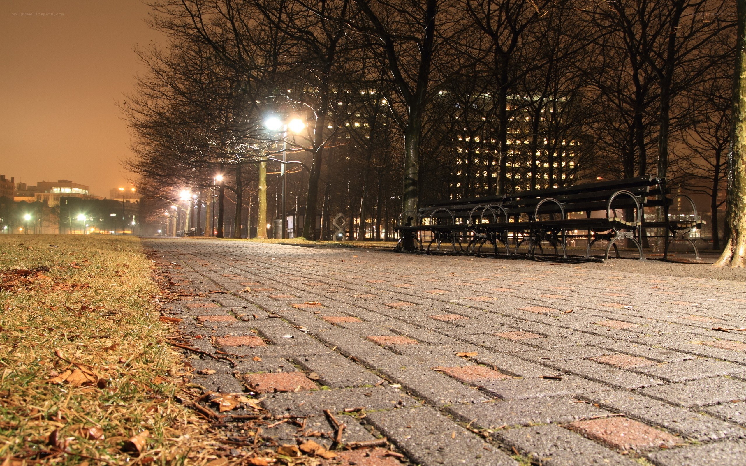 Empty park at night