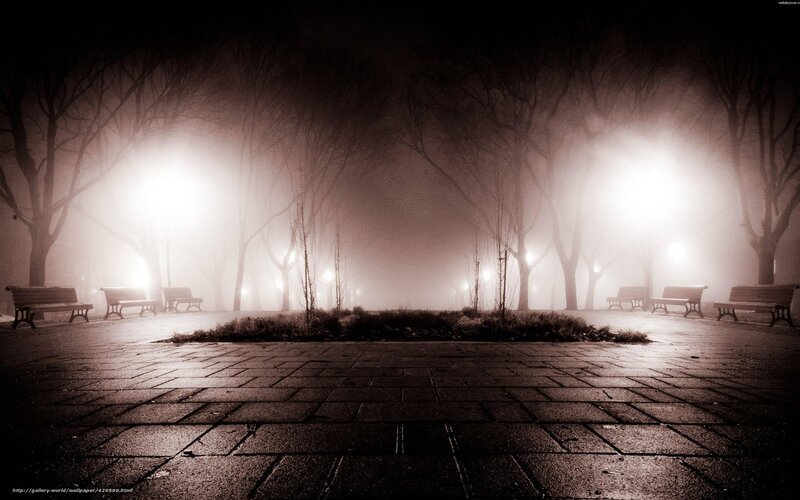 Empty Park at Night — Black