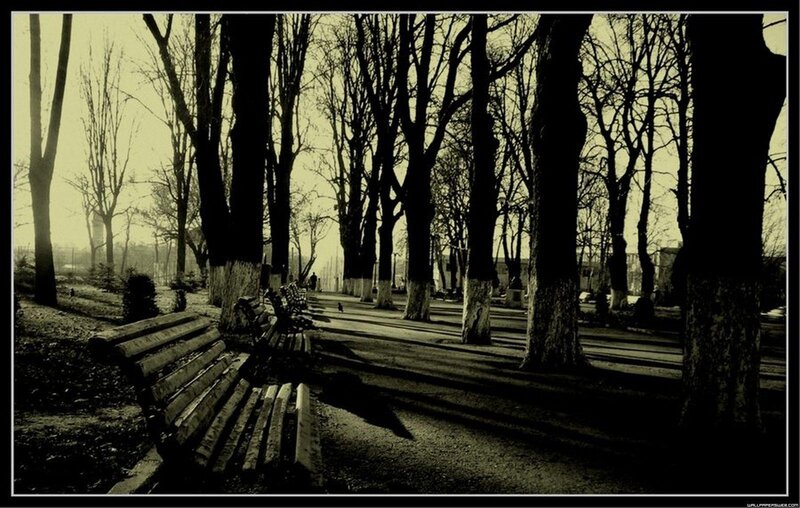 Empty park bench at dusk