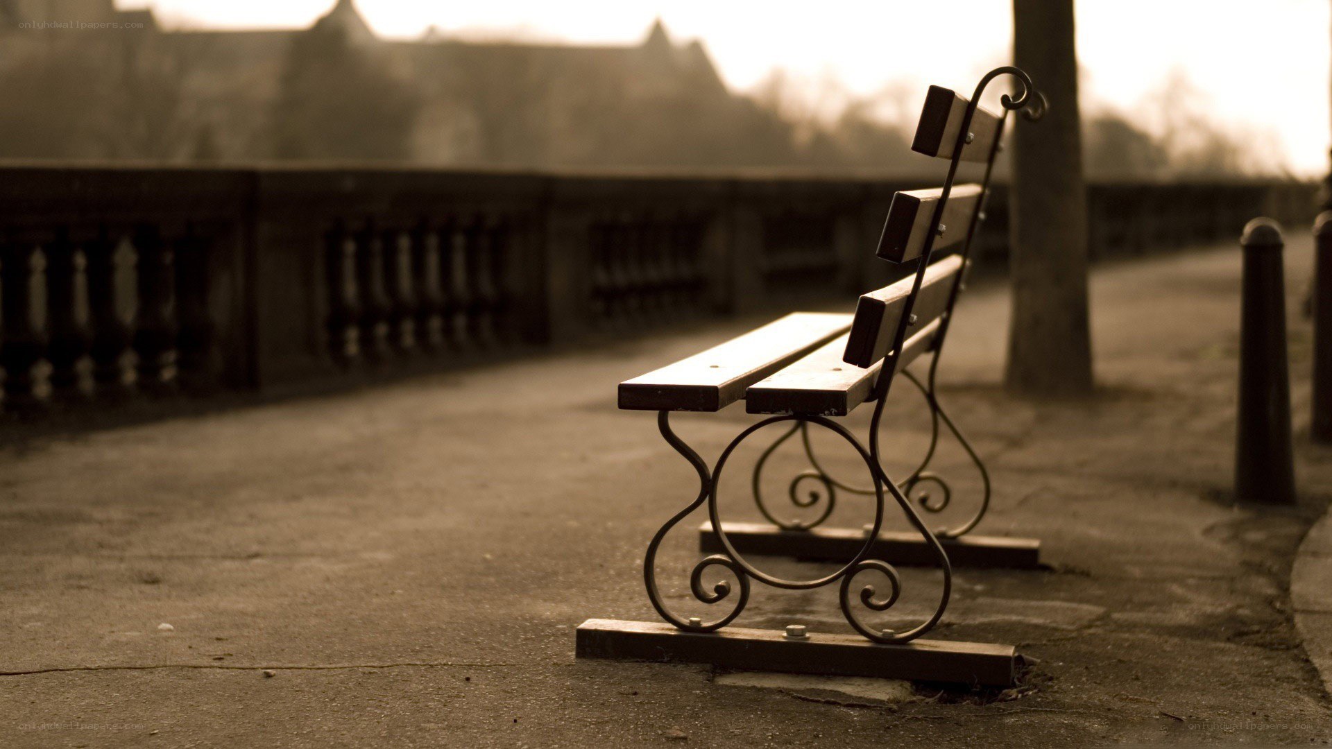 Empty park bench at dusk