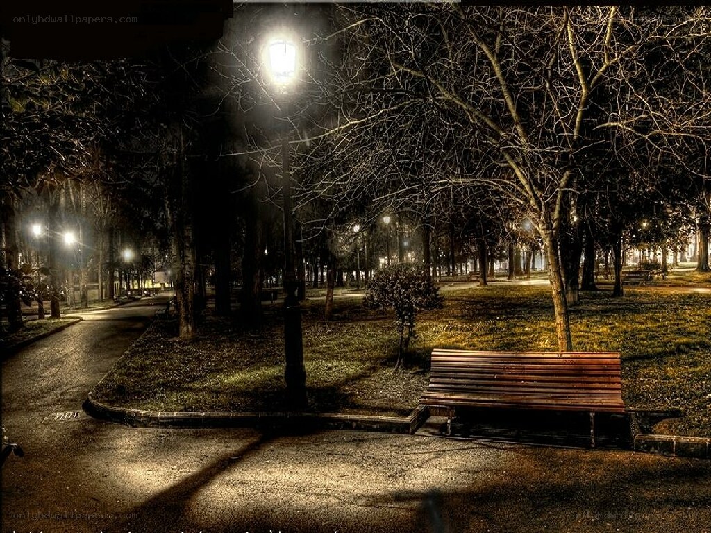 Empty park bench at night