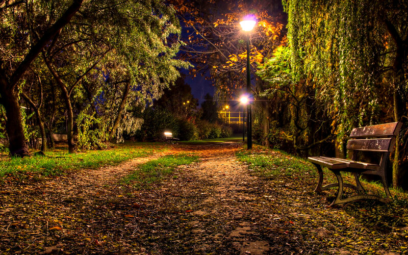 Empty Park Bench at Night — Green