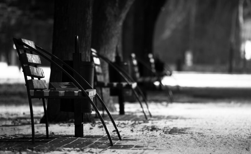 Empty Park Bench — Black, Serene