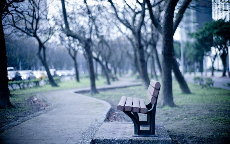 Empty Park Bench — Blue, Calm