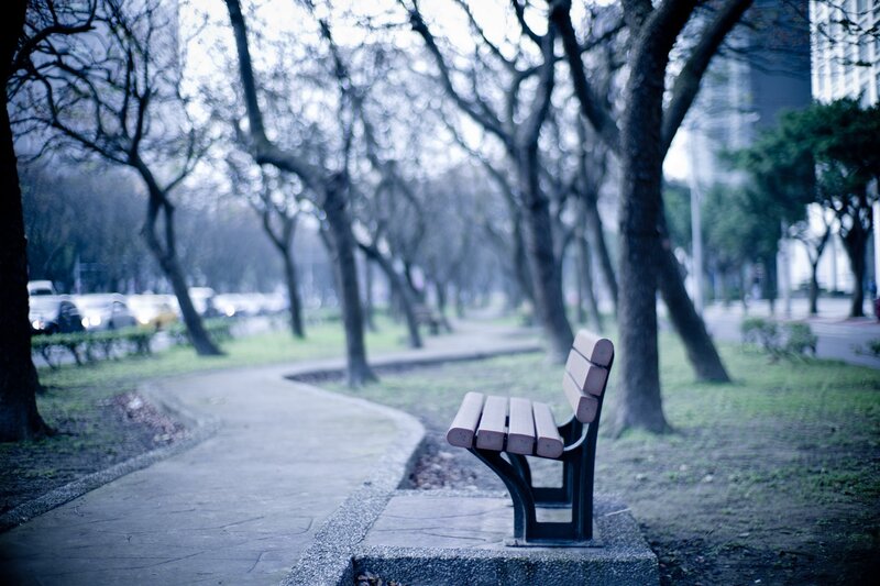 Empty Park Bench — Blue, Serene
