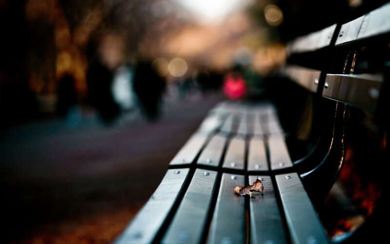 Empty Park Bench — Gray, Calm