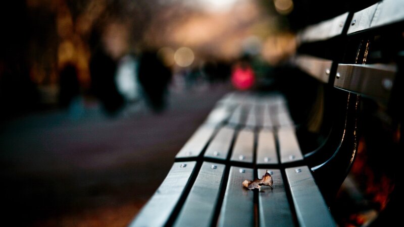 Empty Park Bench — Gray, Quiet
