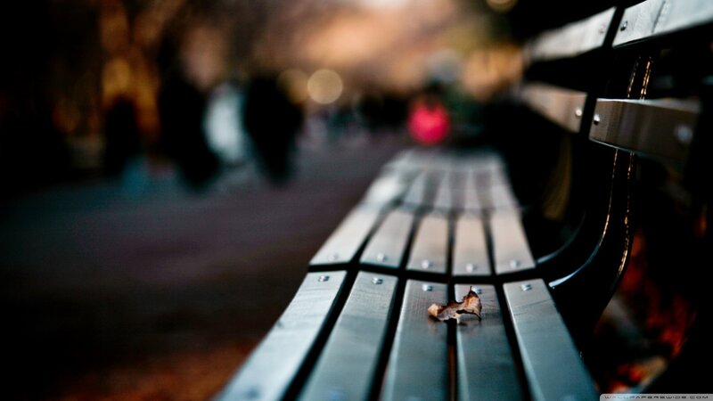Empty Park Bench — Gray