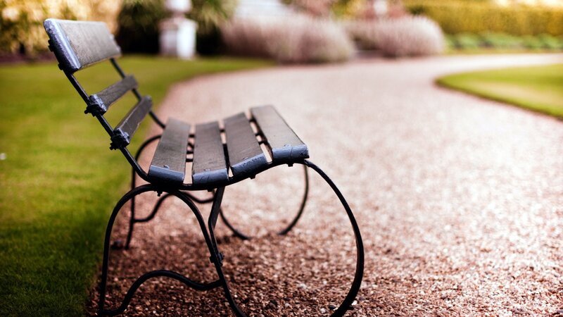Empty Park Bench — Green, Serene, Afternoon, Photograph