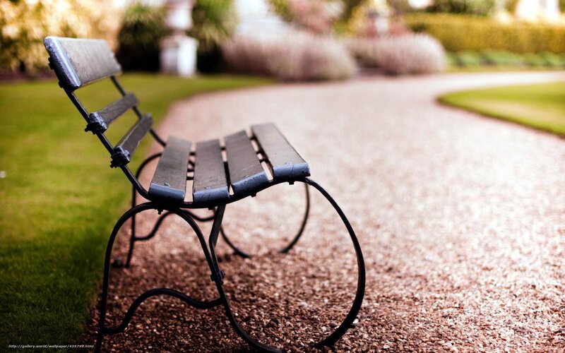 Empty Park Bench — Green, Serene, Afternoon
