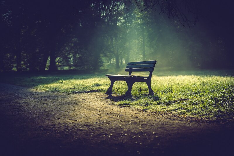 Empty Park Bench — Green, Serene, Morning