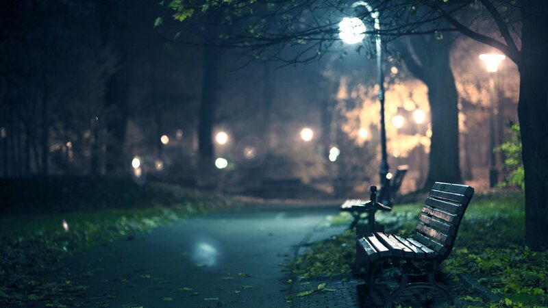 Empty Park Bench — Green, Serene, Night, Photograph, Path, Trees, Streetlights