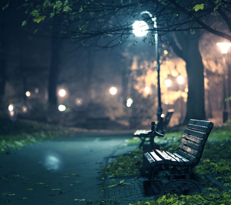 Empty Park Bench — Green, Serene, Night, Photograph, Path, Trees