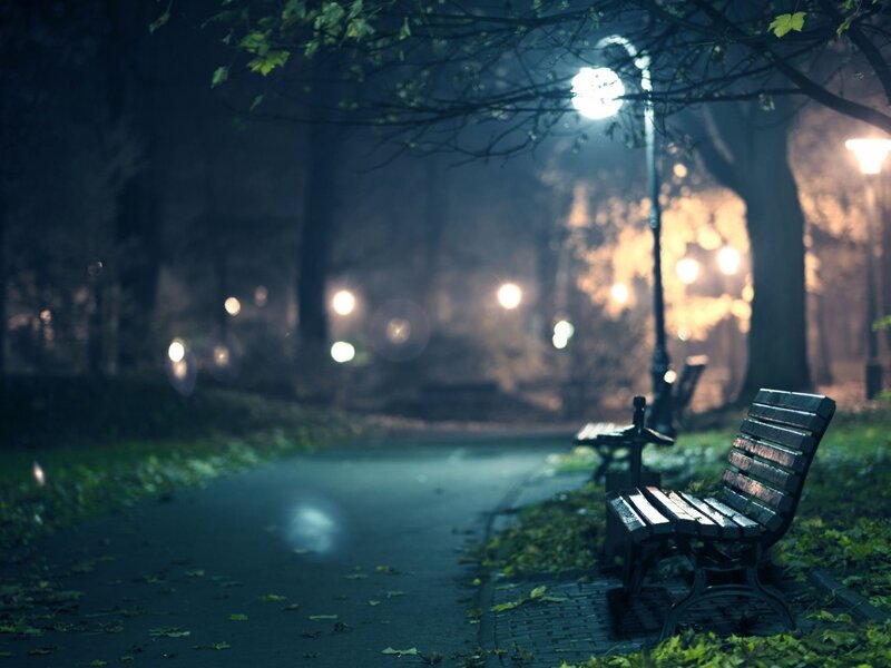 Empty Park Bench — Green, Serene, Night, Photograph