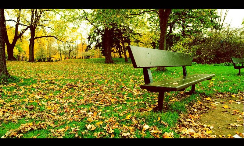 Empty Park Bench — Green