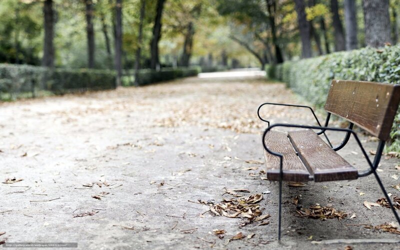 Empty park bench in autumn
