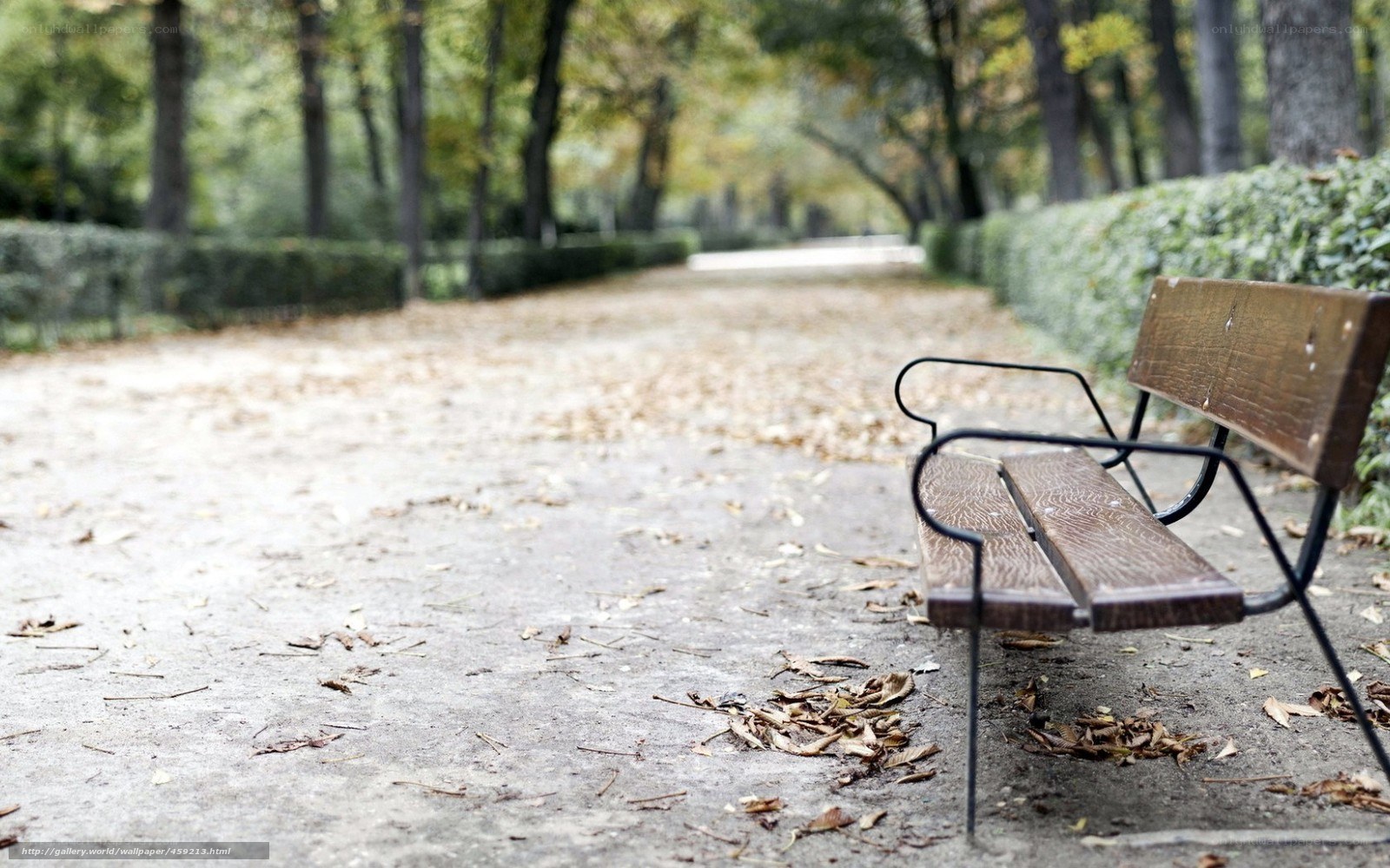 Empty park bench in autumn