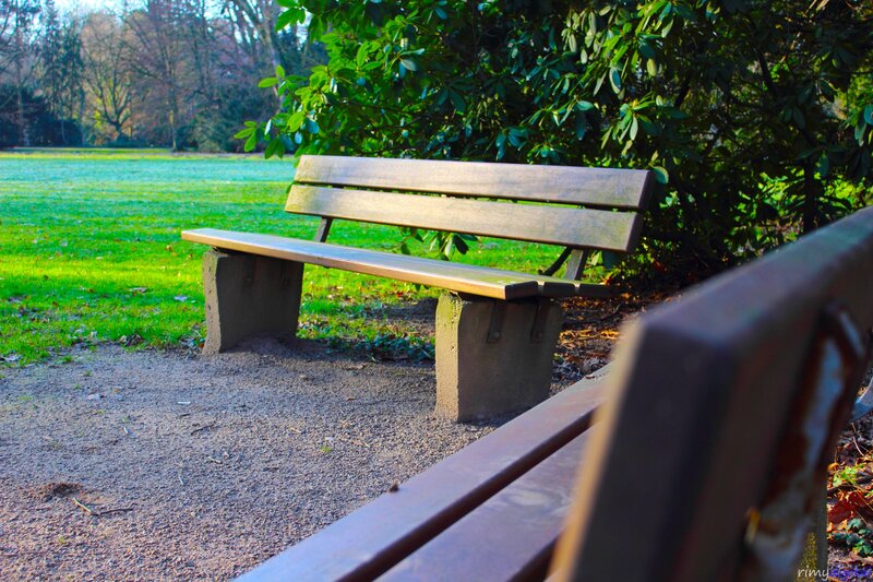 Empty park bench in sunlight