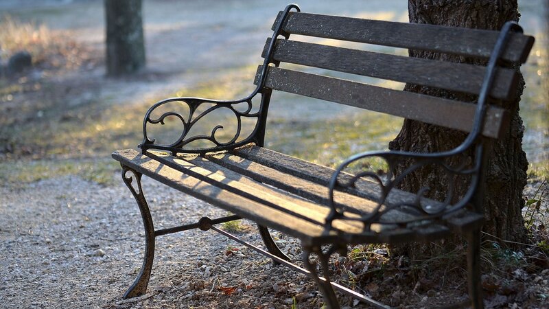 Empty park bench in sunlight