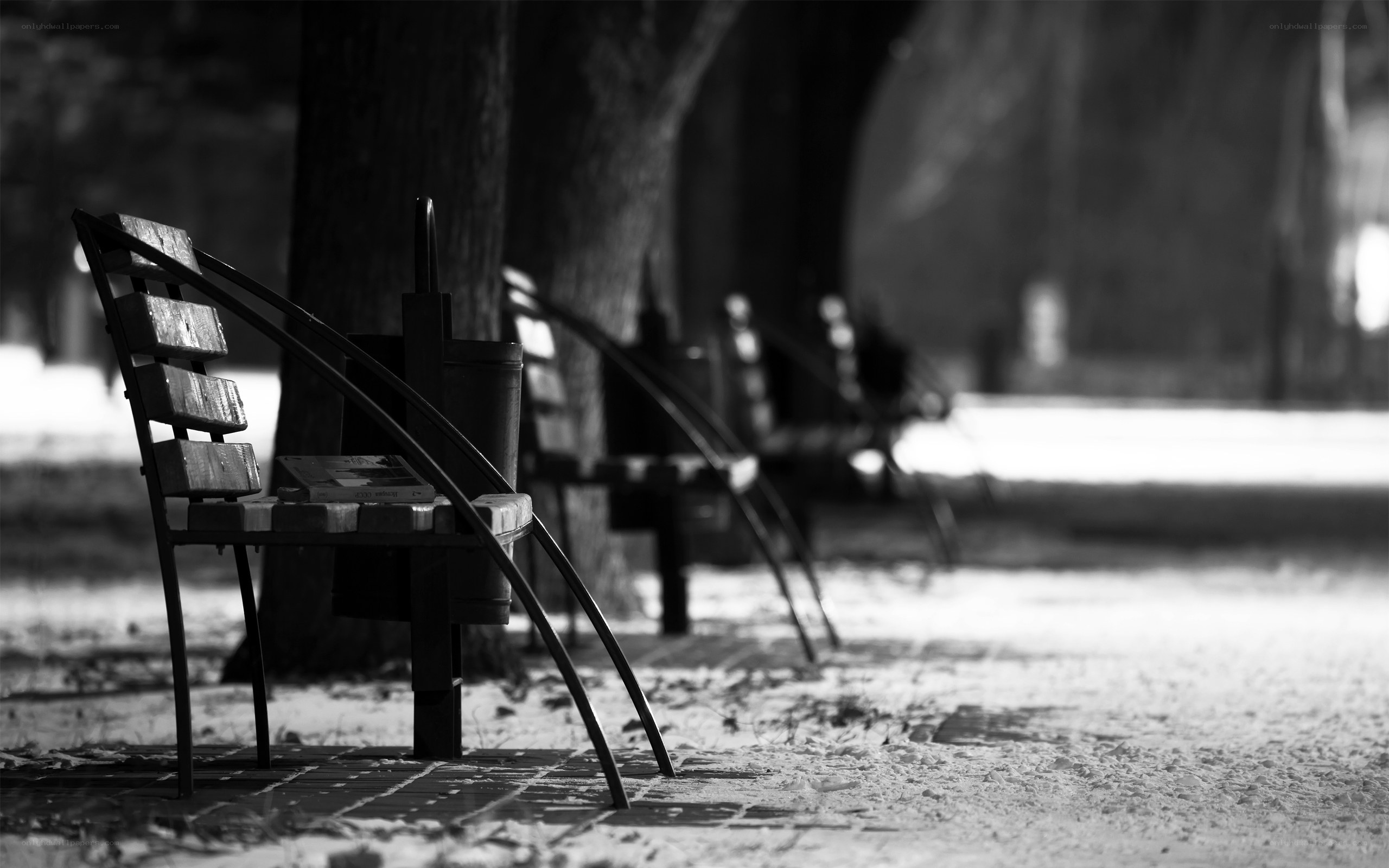 Empty park bench in winter