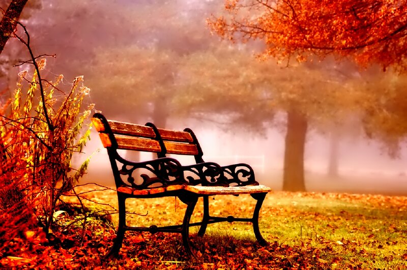 Empty Park Bench — Orange, Serene, Autumn