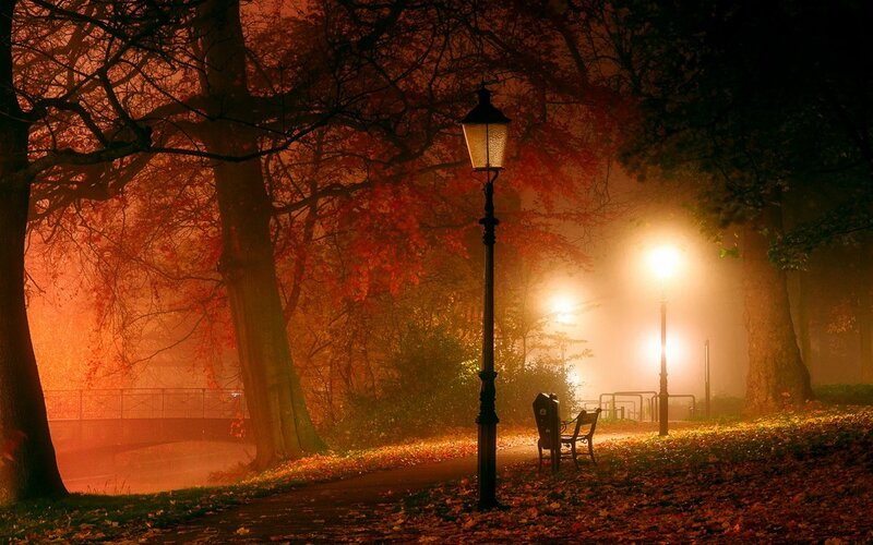 Empty Park Bench — Orange, Serene, Night