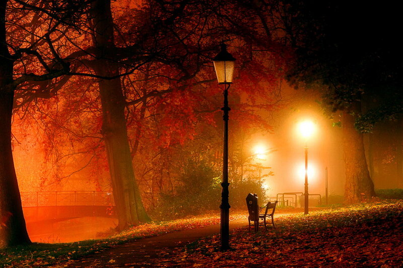 Empty Park Bench — Orange, Serene