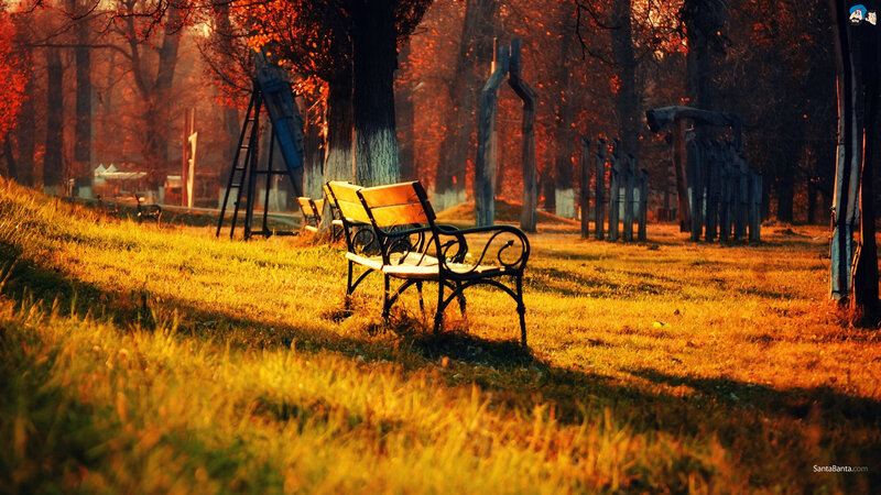 Empty Park Bench — Orange