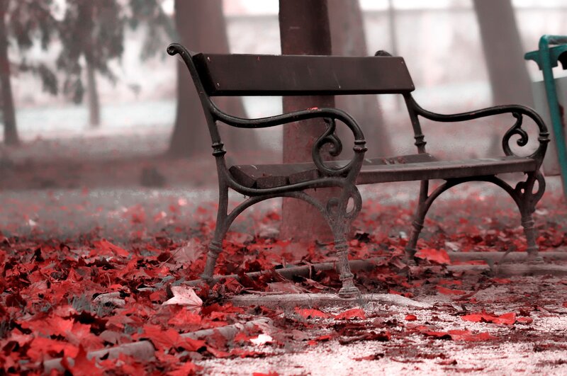 Empty Park Bench — Red