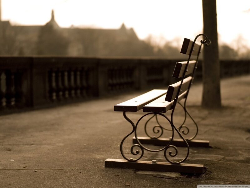 Empty Park Bench