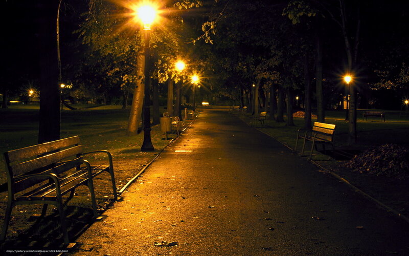 Empty Park Bench — Yellow, Serene, Night, Photograph