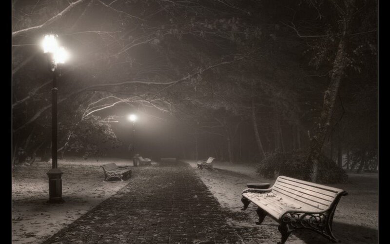 Empty Park Benches — Black