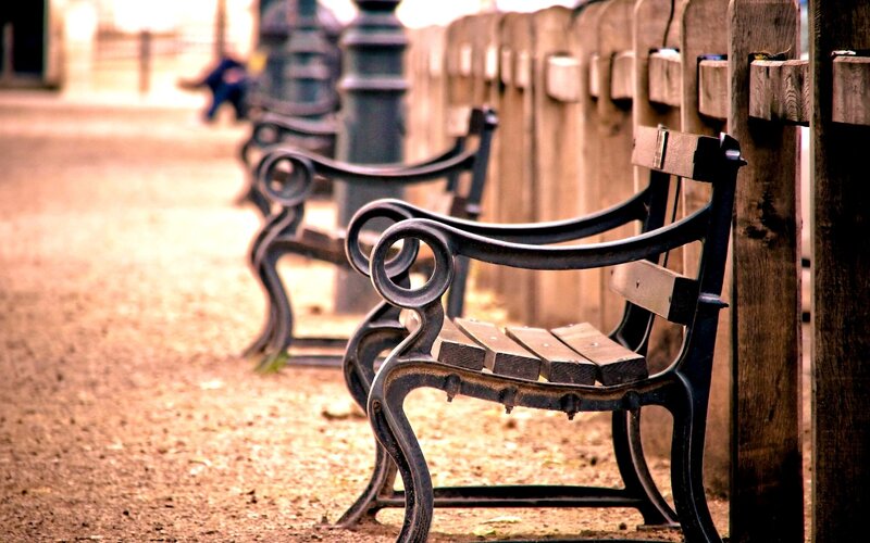 Empty Park Benches — Brown, Calm