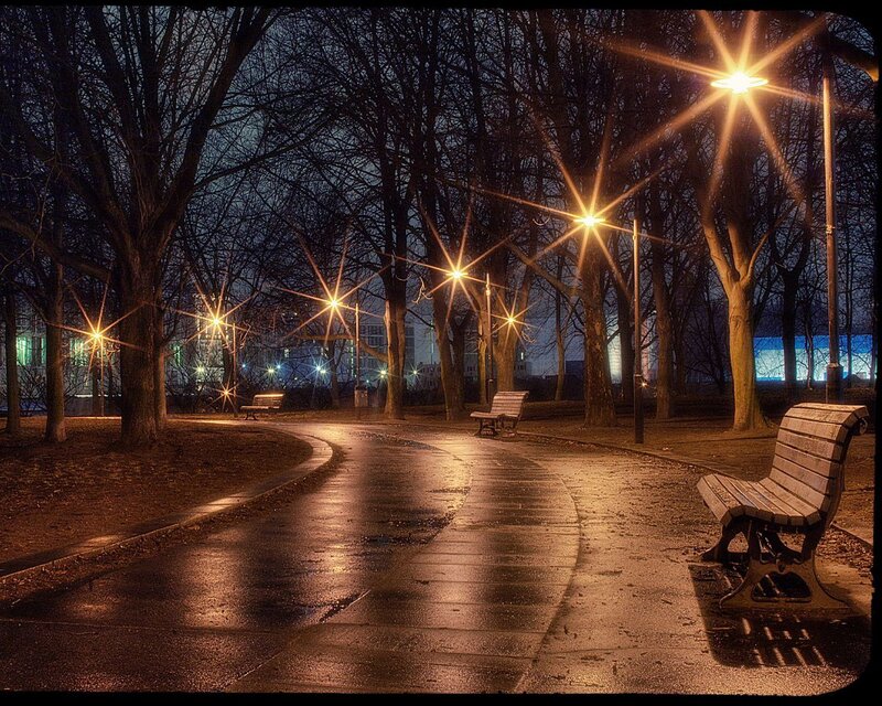 Empty Park Benches — Brown