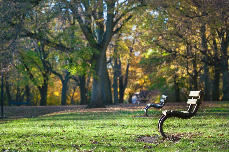 Empty Park Benches — Green