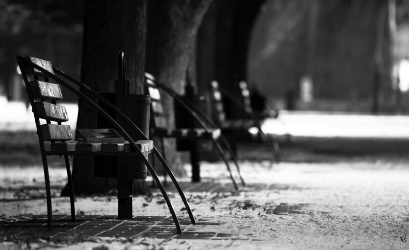 Empty park benches in winter