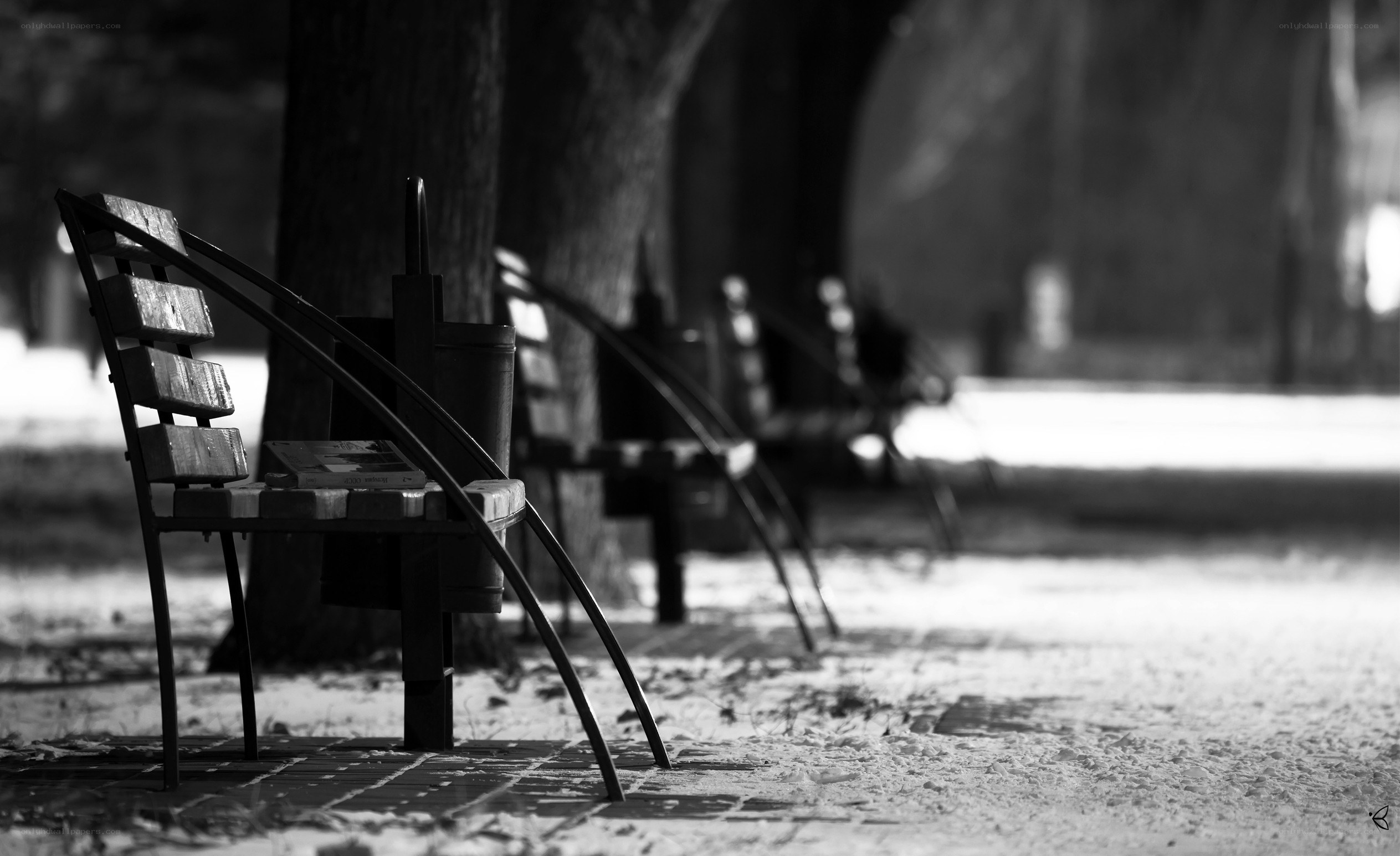 Empty park benches in winter