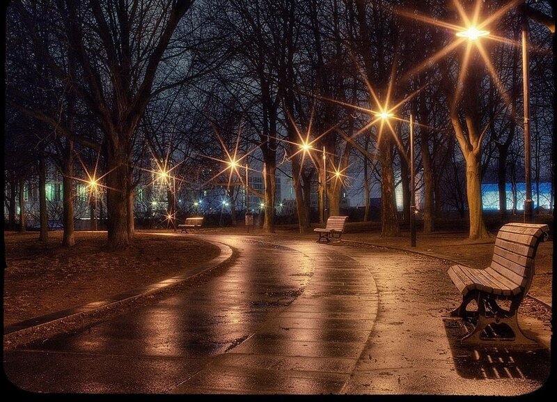 Empty Park Benches